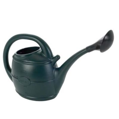 10L Ward Watering Can with Rose - Green