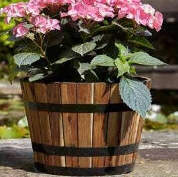 Applewood Barrel Planters - Single S/M/L