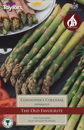 Asparagus - Connover Colossal