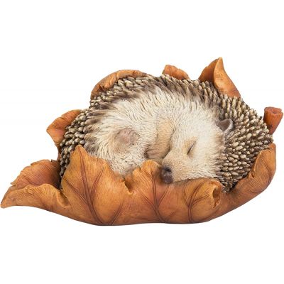 Baby Hedgehog in Leaf