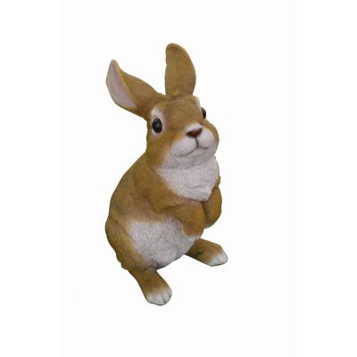 Baby Rabbit -Standing