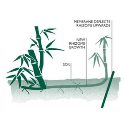 Bamboo Control System - 5m Roll