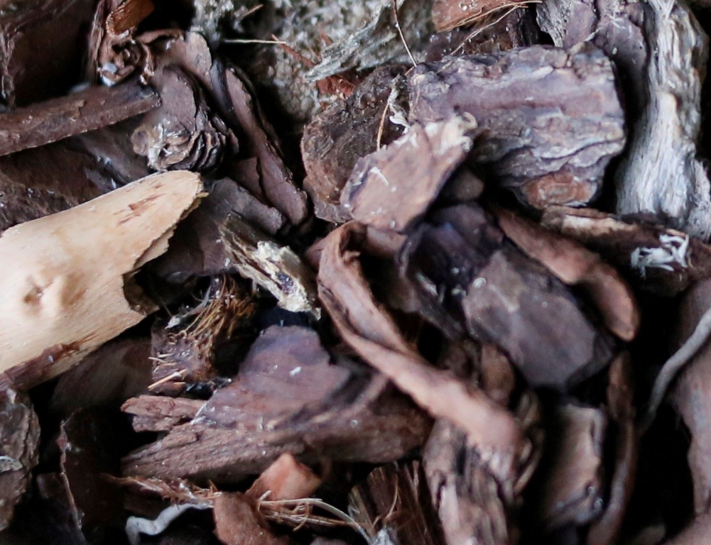 Bark chippings Windlestone Nursery & Garden Centre in Ferryhill, Durham