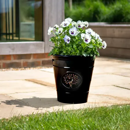 Blenheim Planter - Black - Medium