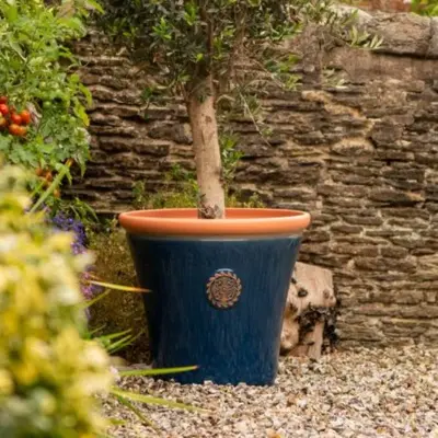 Chatsworth Planter - Blue- Medium
