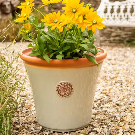 Chatsworth Planter - Off White - Medium 