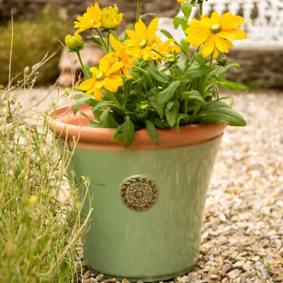 Chatsworth Planter - Sage green - XL Large