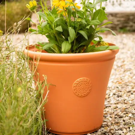 Chatsworth Planter - Terracotta - XL Large
