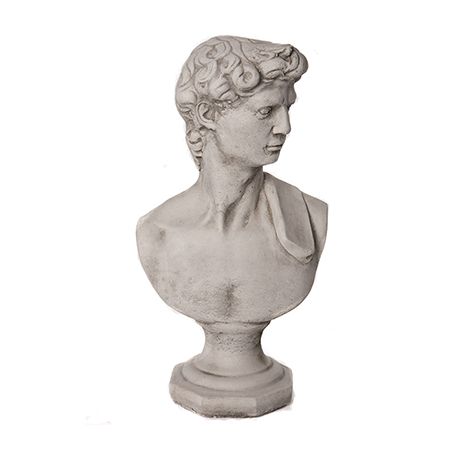 David Bust