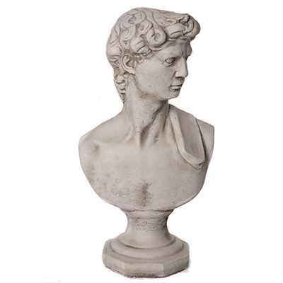 David Bust