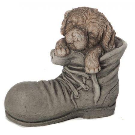 Dog In Shoe