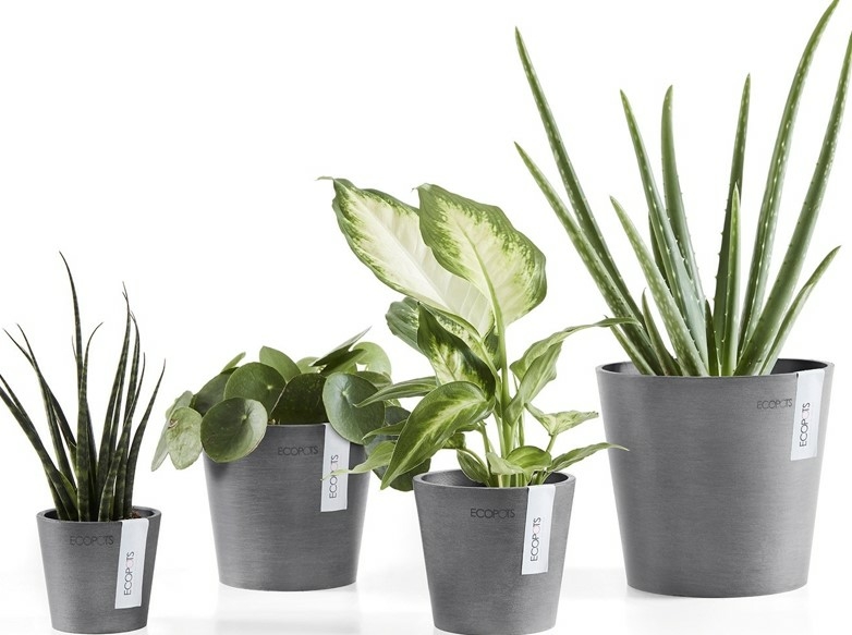 EcoPot Amsterdam Grey D 50cm x H 44cm Windlestone Nursery