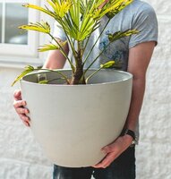 EcoPots