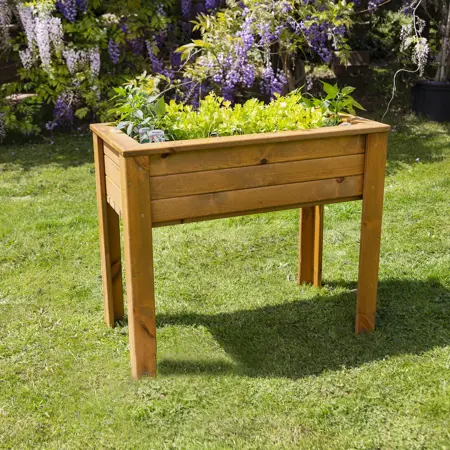 Grow Your Own Vegetable Planter - Medium