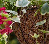 Hanging baskets & metal planters
