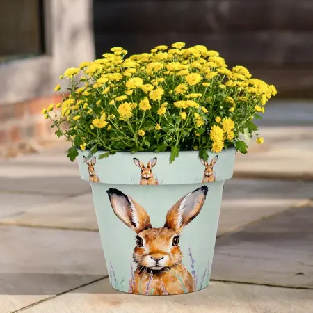 Hare Indoor & Outdoor Pot - Large