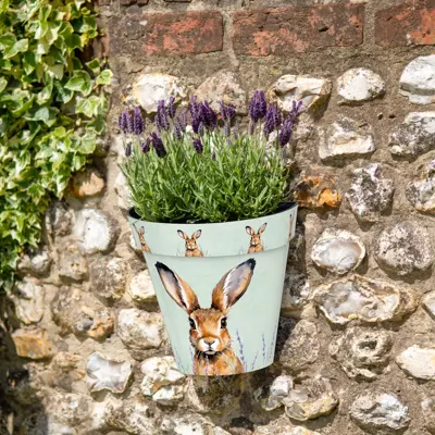 Hare Wall Pots