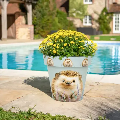 Hedgehog  Indoor & Outdoor Pot - Medium
