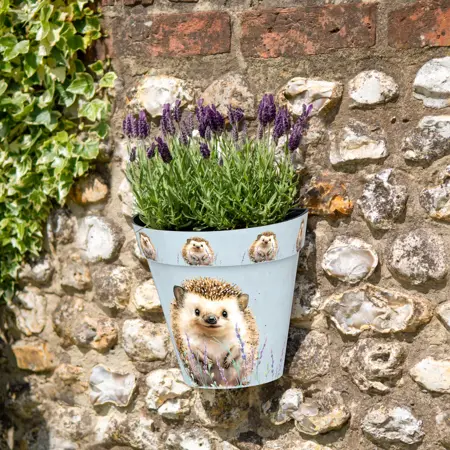 Hedgehog Wall Pots