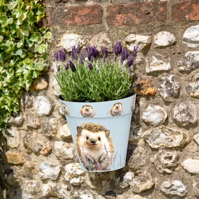 Hedgehog Wall Pots
