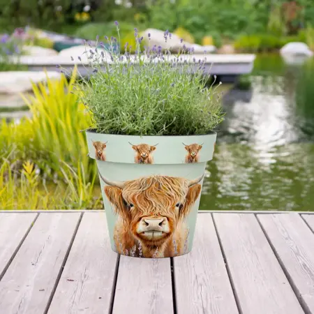Highland Cow - Indoor & Outdoor Pot - XL Large