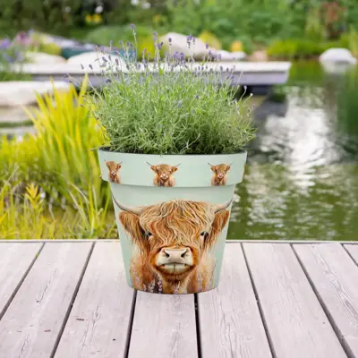 Highland Cow - Indoor & Outdoor Pot - XL Large