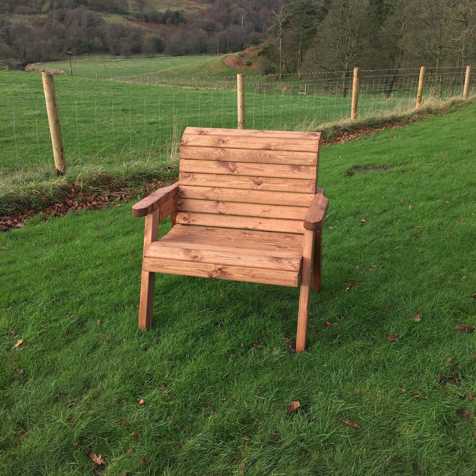 Large Chair Windlestone Nursery & Garden Centre in Ferryhill, Durham