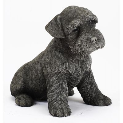 Large Schnauzer