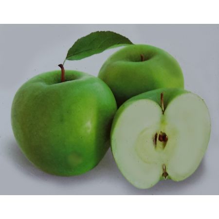 Malus Domestica Granny Smith (Apple Tree) - image 1
