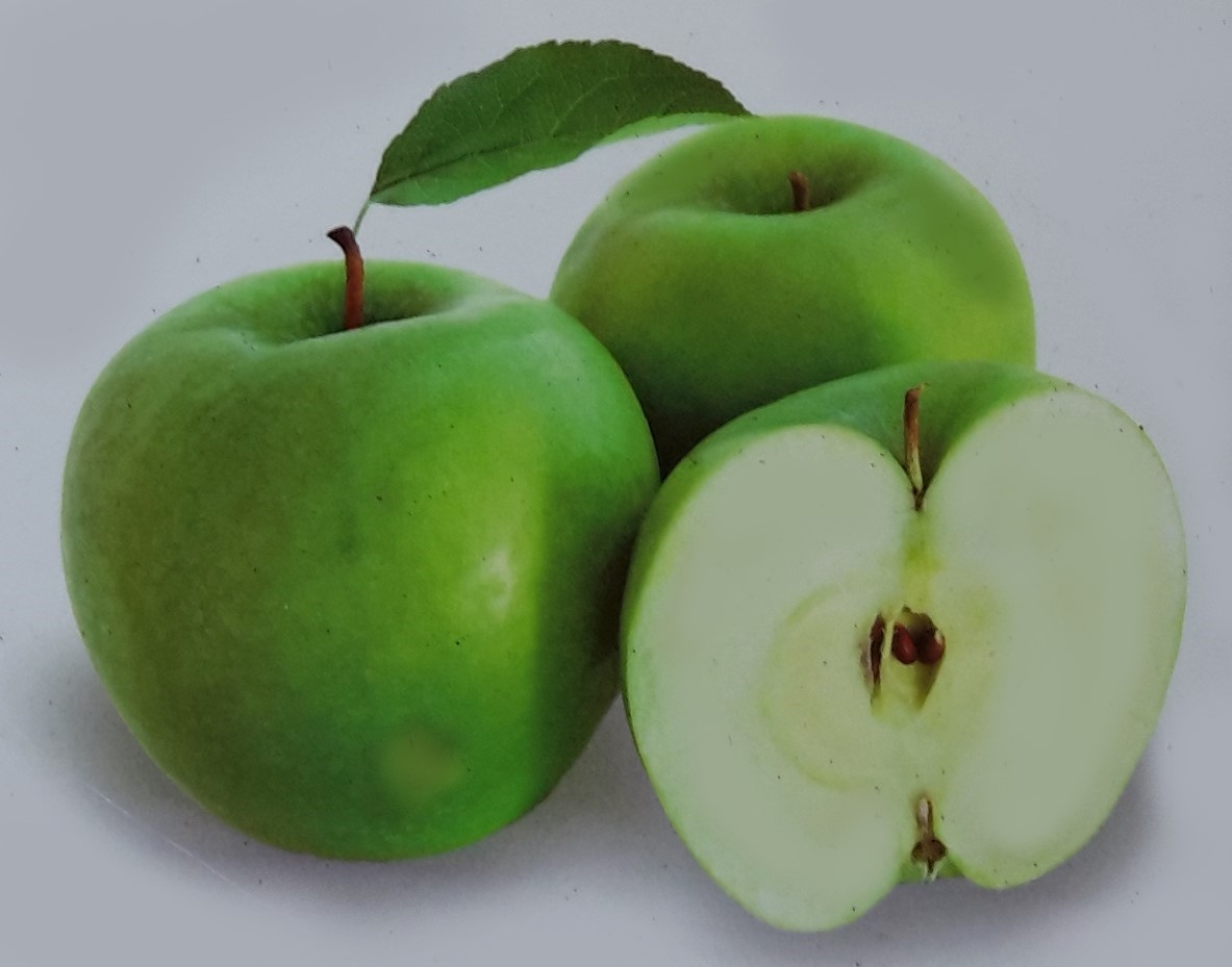 Malus Domestica Granny Smith Dwarf (Apple Tree) Windlestone Nursery