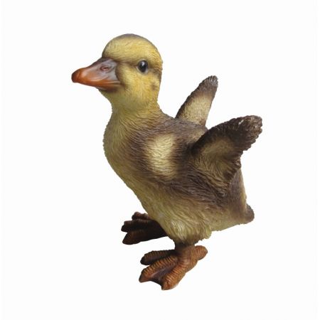 NF Duckling