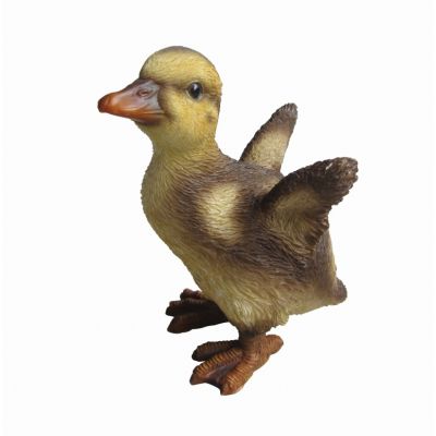 NF Duckling