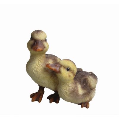 NF Duckling Group