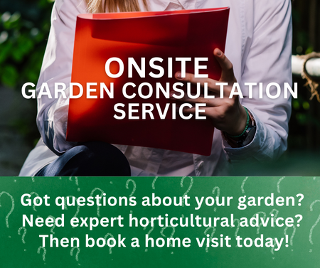 Onsite Garden Consultation