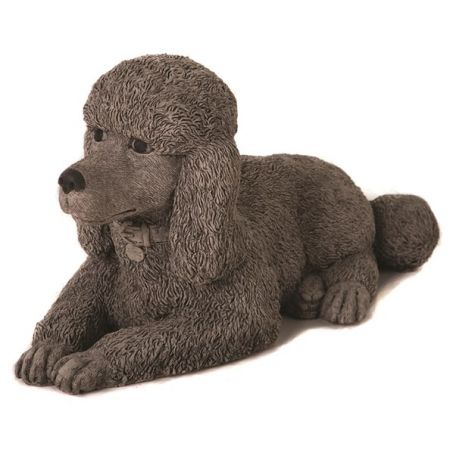 Poodle
