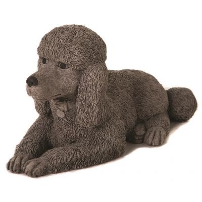 Poodle