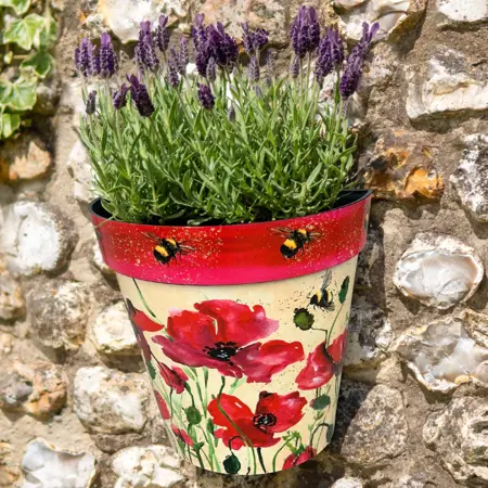Poppies & Bees Wall Pots