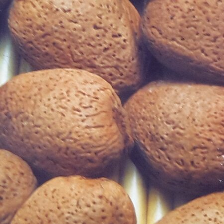 Prunus Amygdalus Communis Guscio Tenero - (Dwarf Almond Tree)