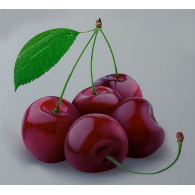 Prunus Avium Schneiders Spate Knorpel Dwarf (Cherry Tree)