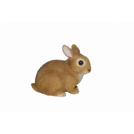 Real Life Baby Rabbits