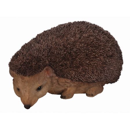 Real Life Hedgehog