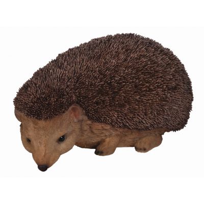 Real Life Hedgehog