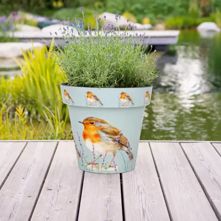 Robin Indoor & Outdoor Pot - Medium