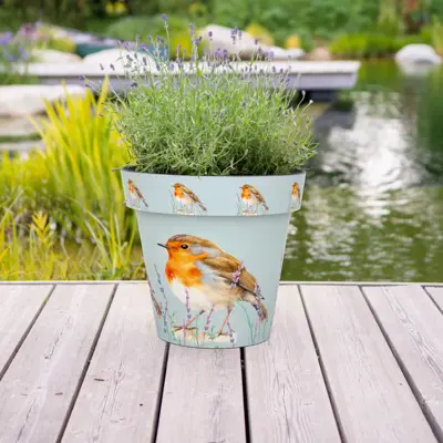 Robin Indoor & Outdoor Pot - Small