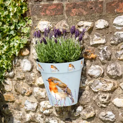 Robin Wall Pots