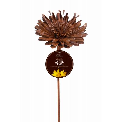 Rustic Aster Stake - image 1