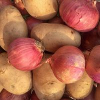 Seed Potatoes, Onion Sets & Misc. Veg bulbs