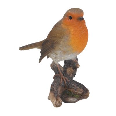 Singing Robin on Stump
