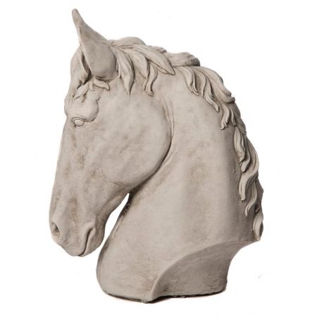 Small Horse Head