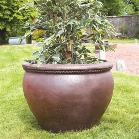 Union Planter - Extra Large
